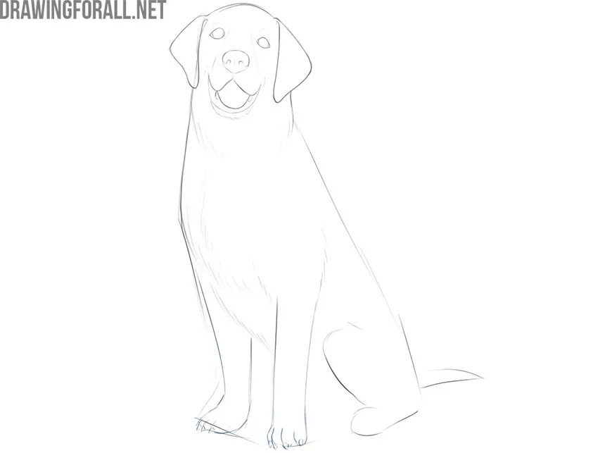 how to draw a dog sitting down easy
