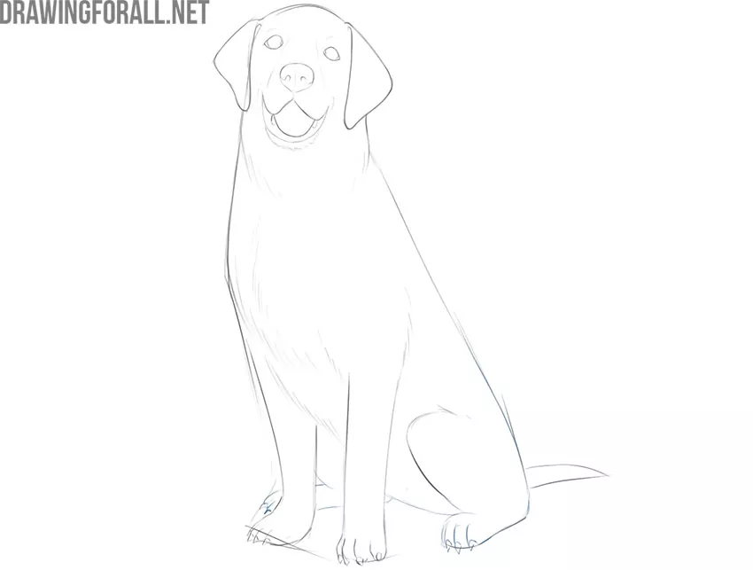 how to draw a dog sitting down
