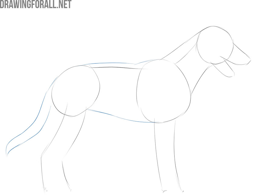 how to draw a dog step by step easy