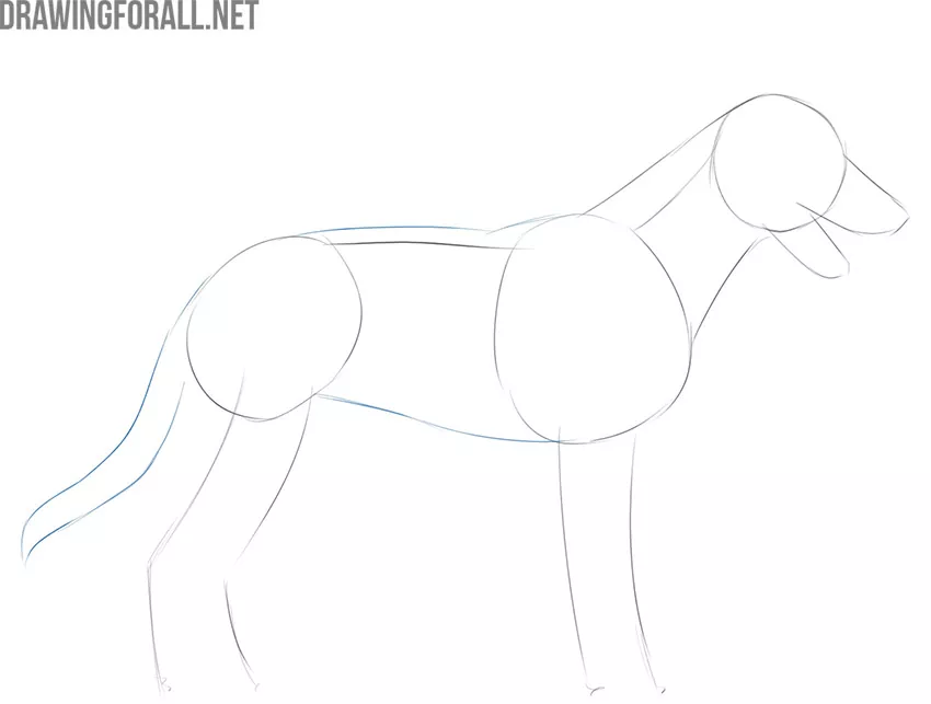 how to draw a dog step by step easy