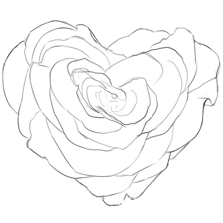 How to Draw a Heart Rose