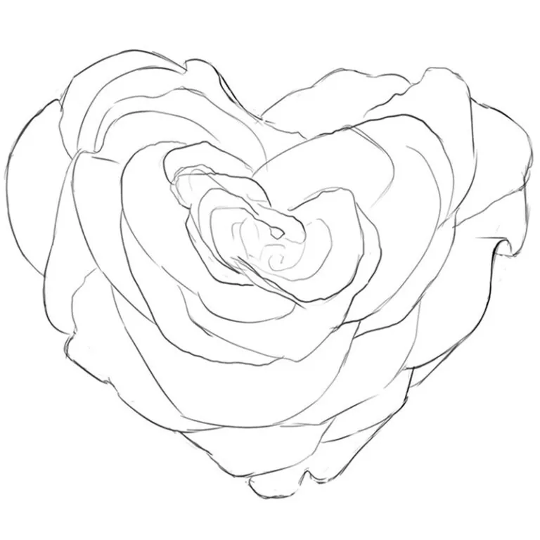 how to draw a heart rose