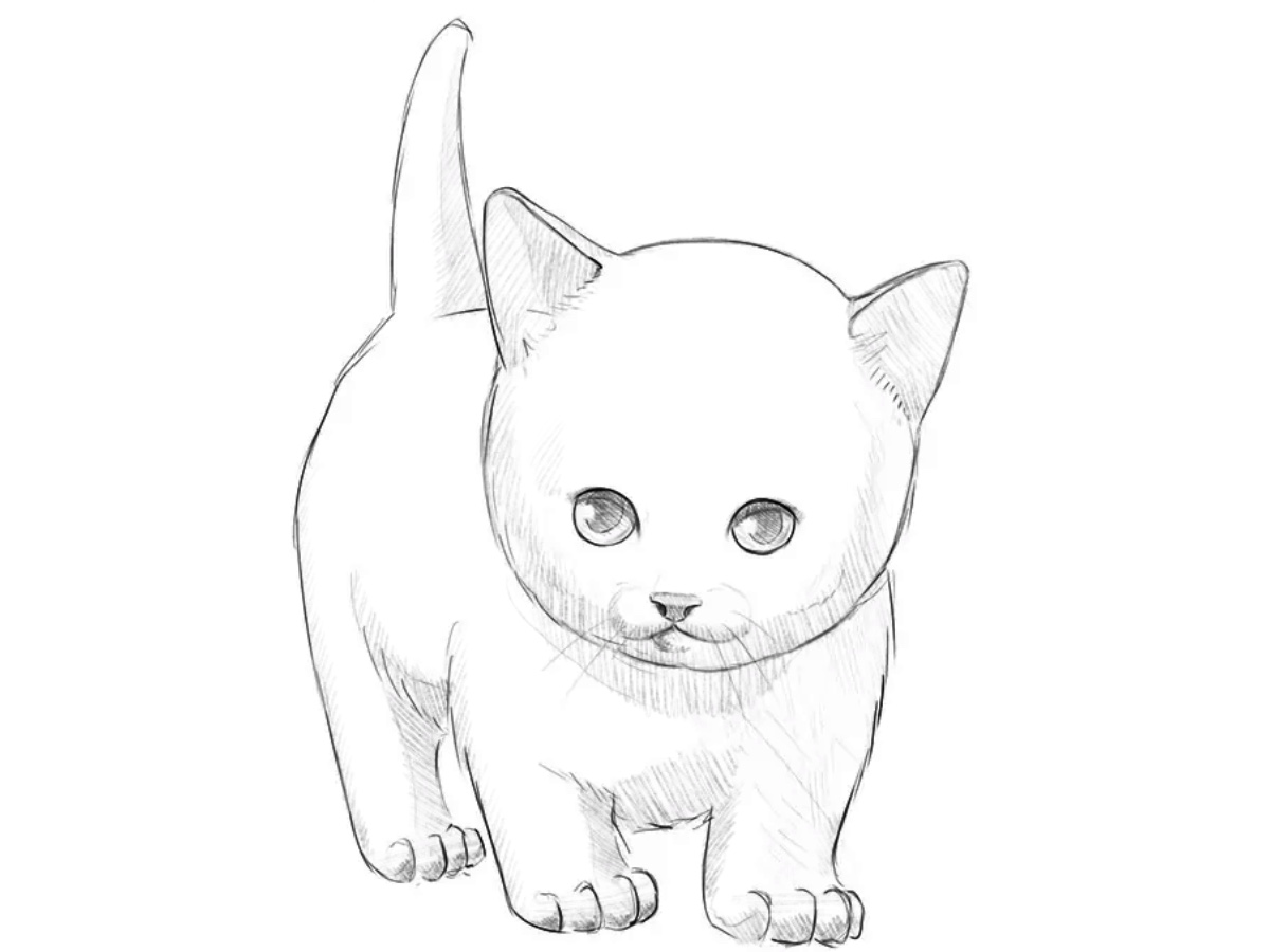 how to draw a kitten featured image