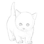 How to Draw a Kitty Cat