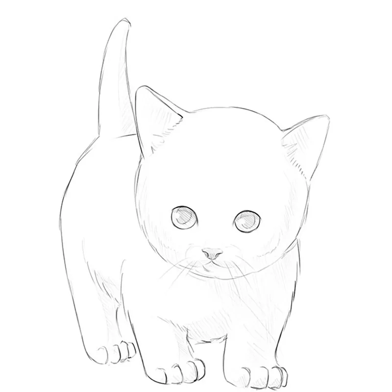 Adorable Cat Sketch Charming Line Drawing of a Cute Feline | MUSE AI