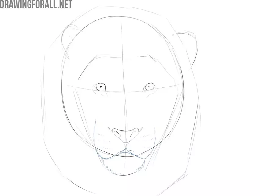 how to draw a lion face easy step by step