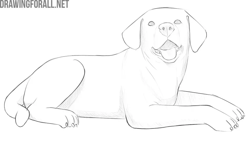 how to draw a lying dog