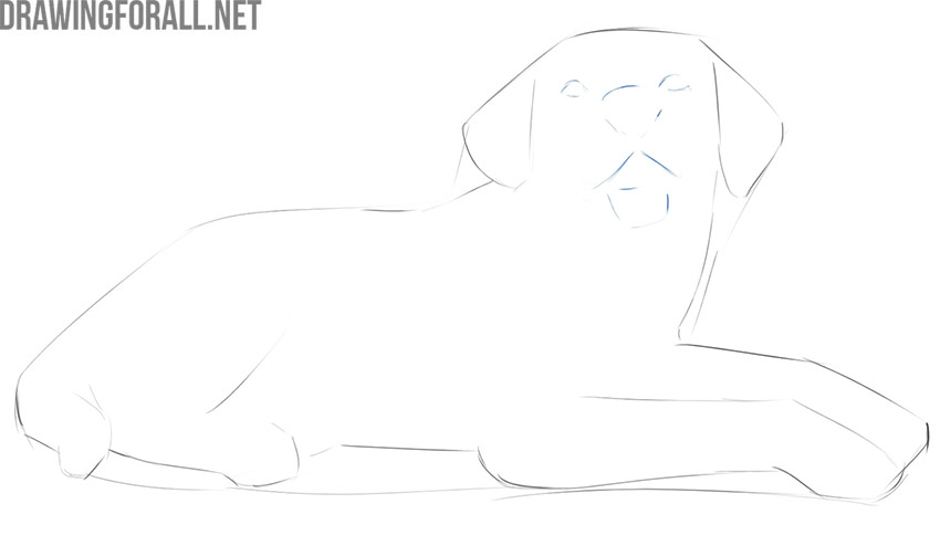 how to draw a lying dog step by step