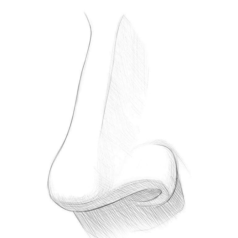 How to Draw a Nose From the 3/4 View