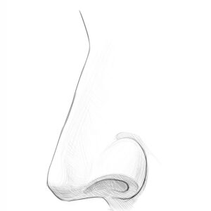 How to Draw a Nose From the Side