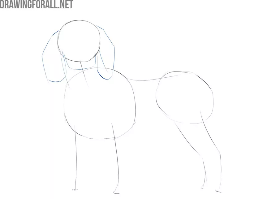  como desenhar um corpo de cão realista 