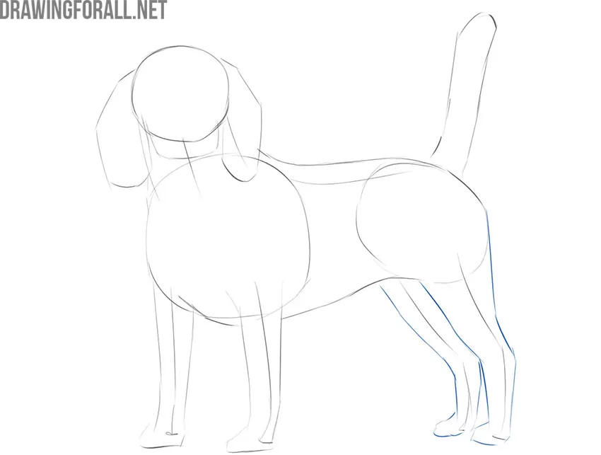 現実的な犬を簡単に描く方法