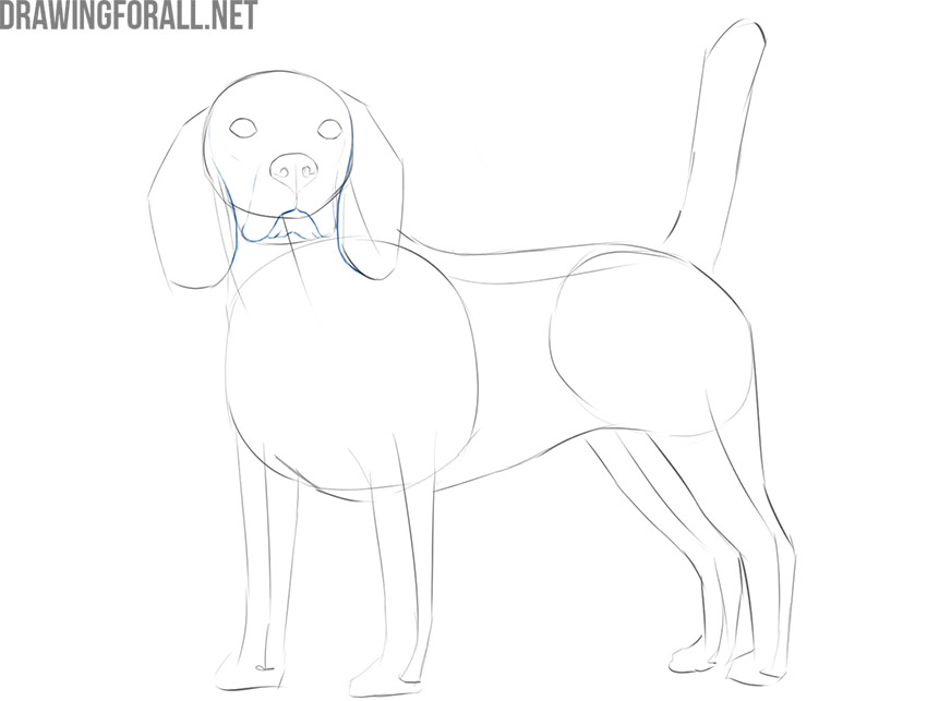 how to draw a realistic dog head