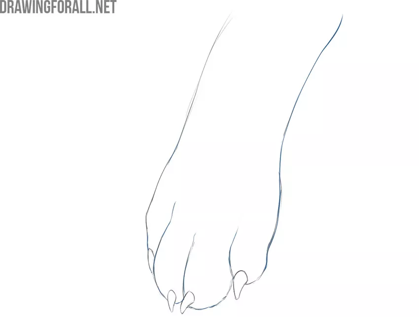 現実的な犬の足を描画する方法
