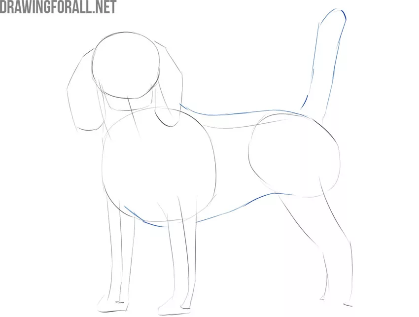 How To Draw A Dog - Step-by-Step