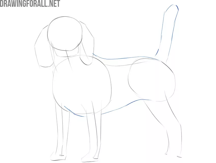 how to draw a realistic dog step by step easy