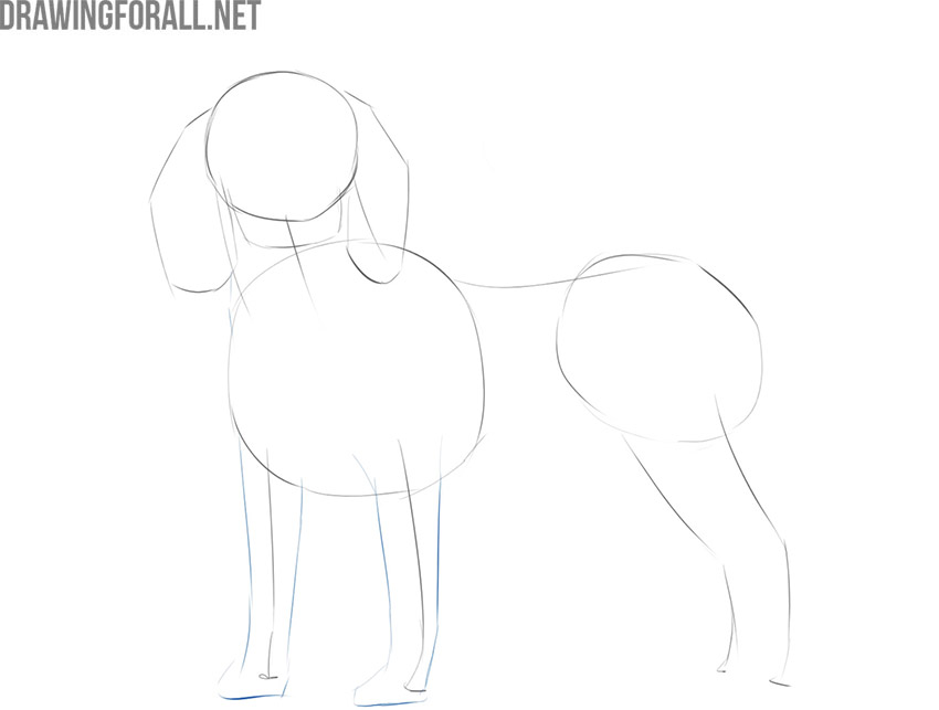 how to draw a realistic dog step by step for beginners