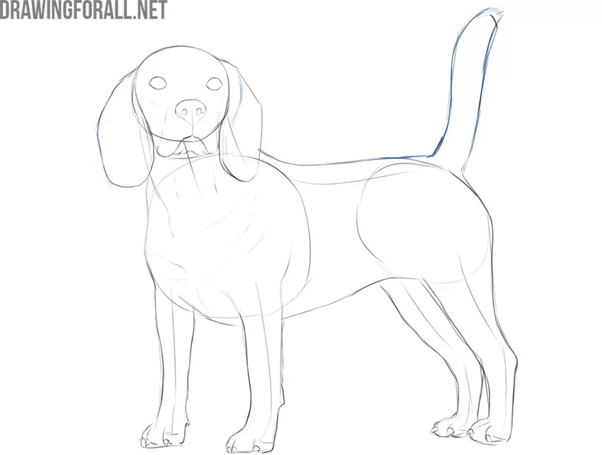 how to draw a realistic dog with a pencil