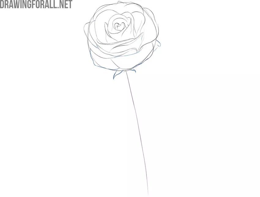 how to draw a rose flower easily