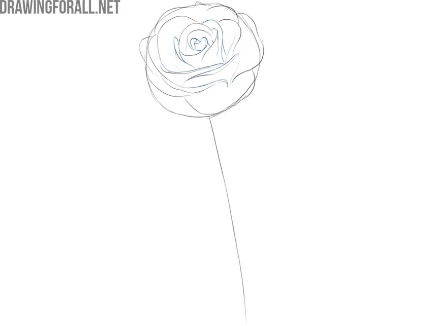 how to draw a rose flower for beginners