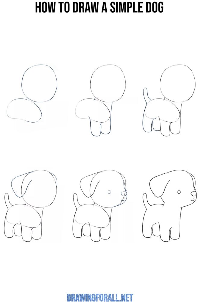 How to Draw a Dog - Drawingforall.net
