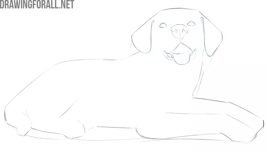how to draw a simple dog lying down