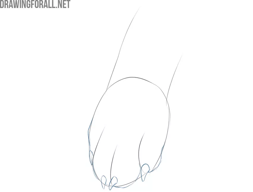 how to draw a simple dog paw