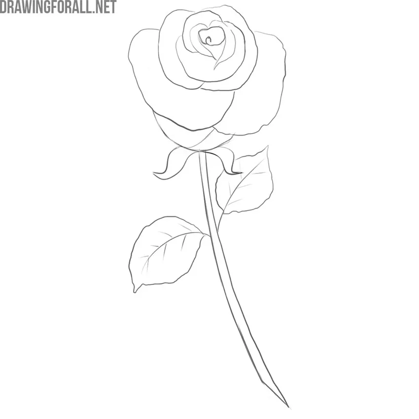 how to draw a simple rose