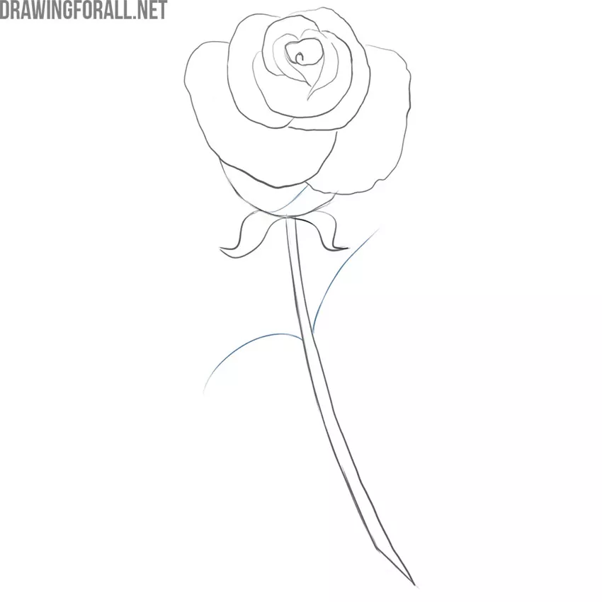 how to draw a simple rose easy