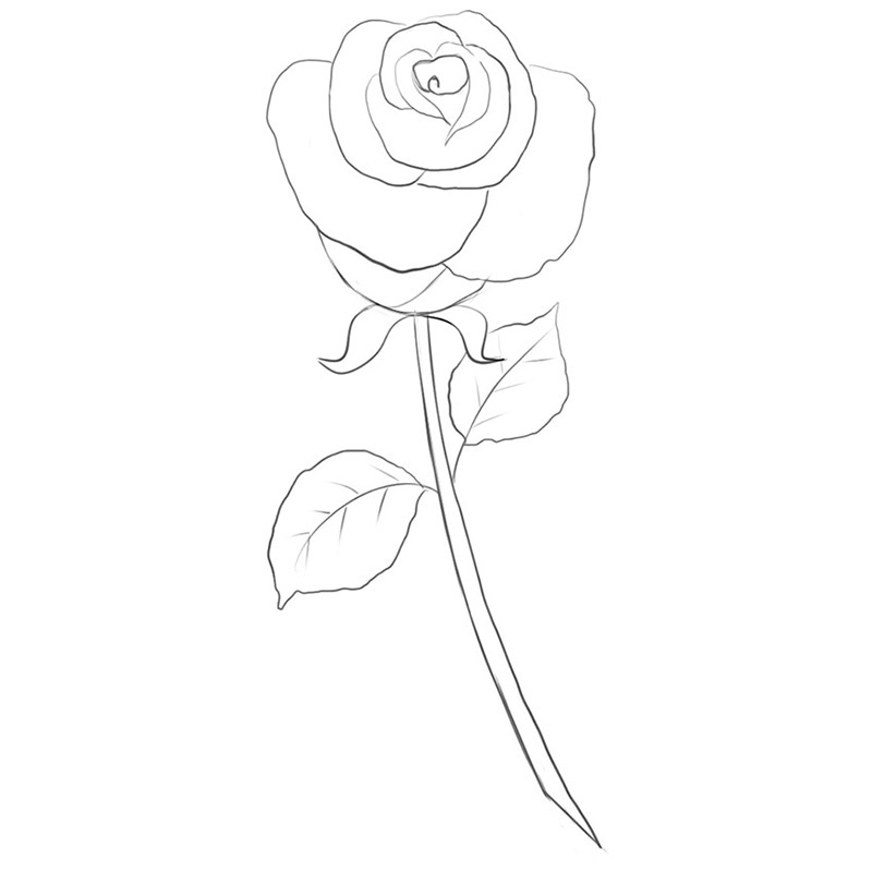How to Draw Roses | An Easy and Complete Step-by-Step Drawing Demo-saigonsouth.com.vn