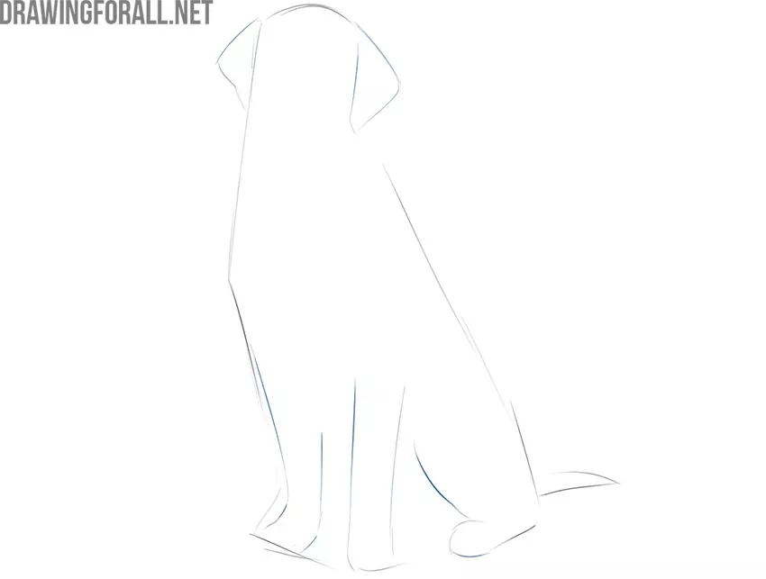 how to draw a simple sitting dog