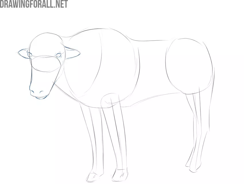 how to draw a simple yak
