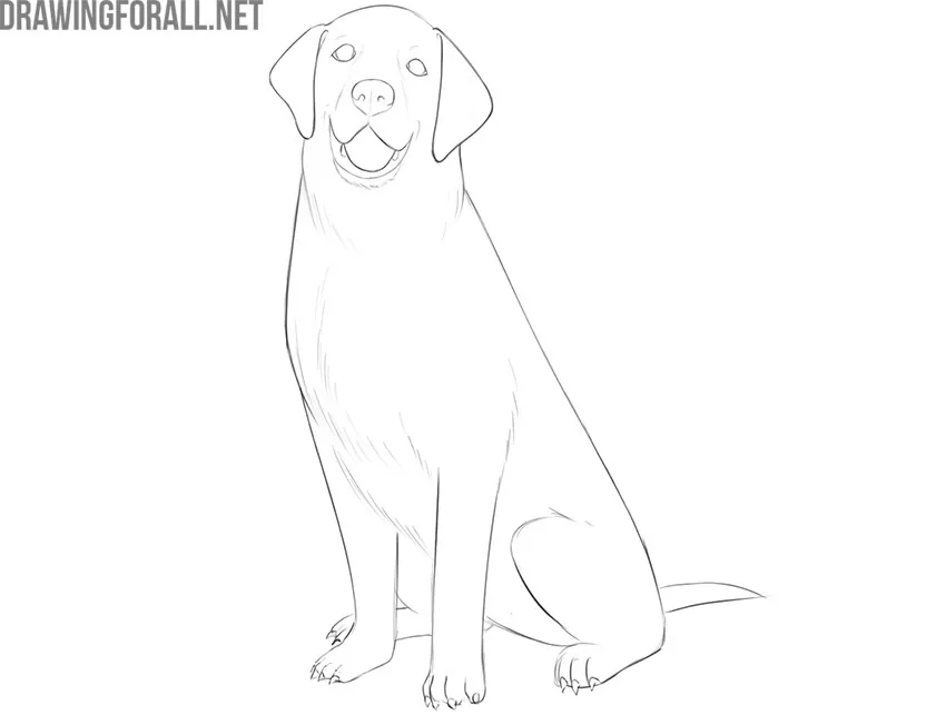how to draw a sitting dog easy