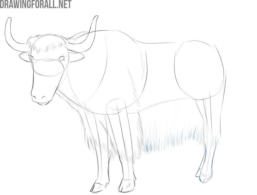 how to draw a yak easy