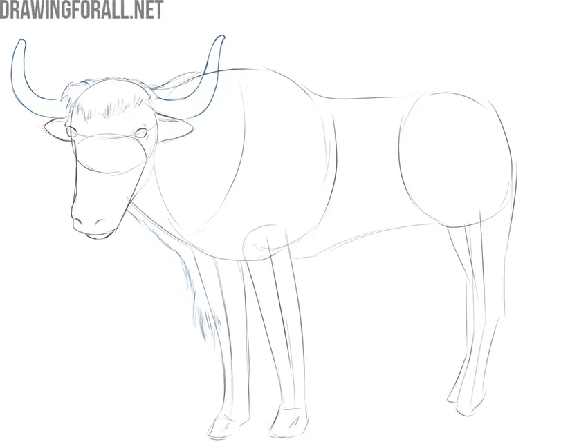 how to draw a yak head