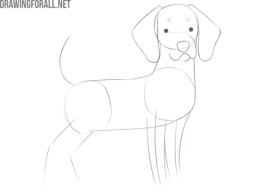 how to draw an easy cute cartoon dog