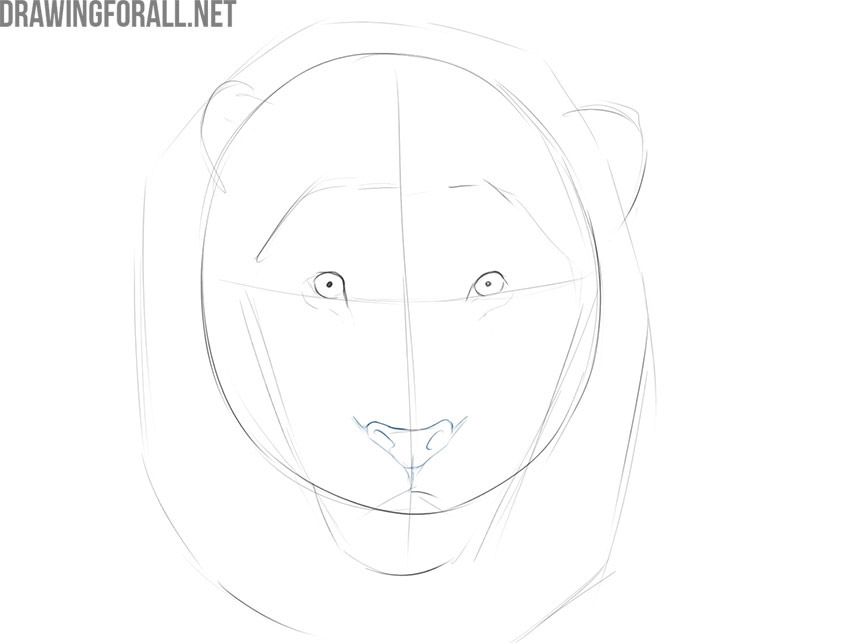 how to draw an easy lion face