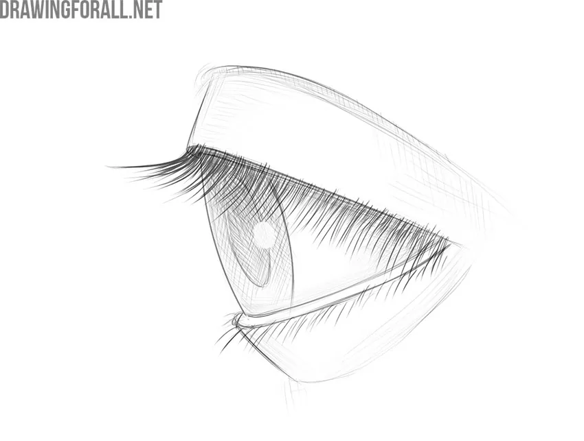 how to draw an anime eye from the sideTikTok Search