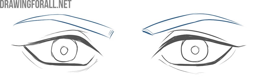 Draw the eyebrows above the eyes