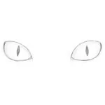 How to Draw Cat Eyes