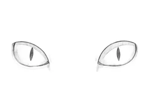 Cat eyes drawing in a realistic style with shadows and highlights.