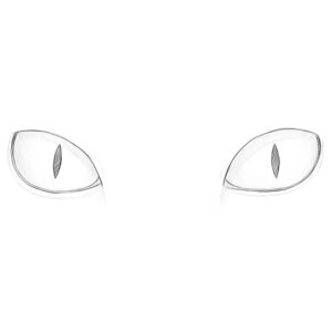 how to draw cat eyes