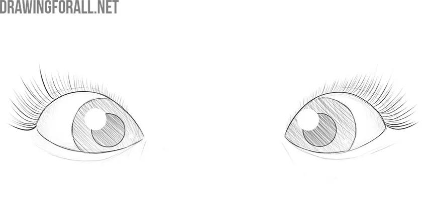 Cute Eyes Drawing - How To Draw Cute Eyes Step By Step