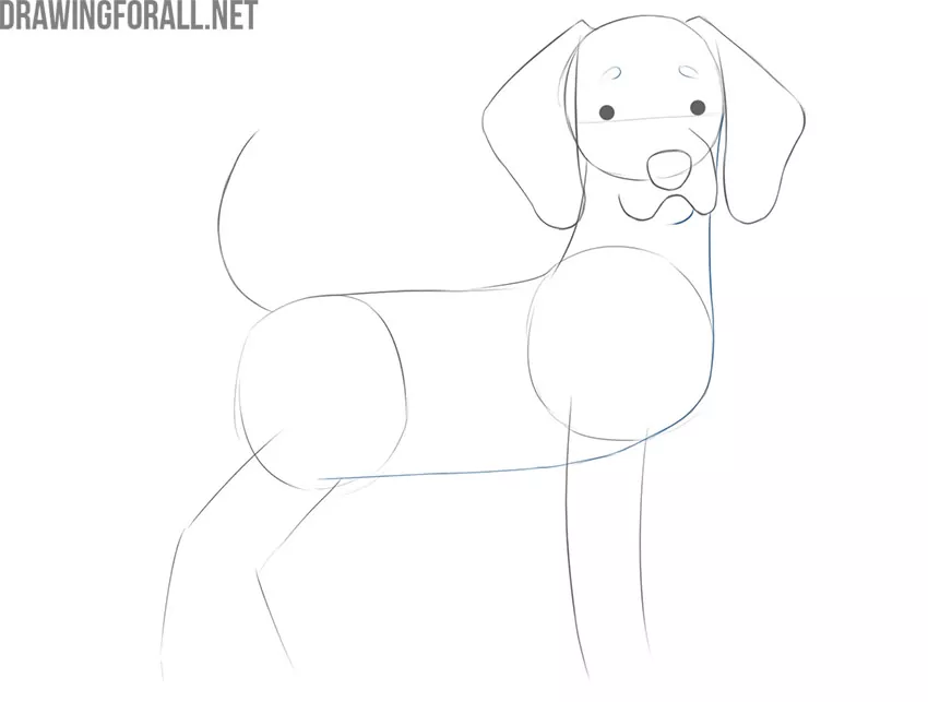 how to draw your dog as a cartoon