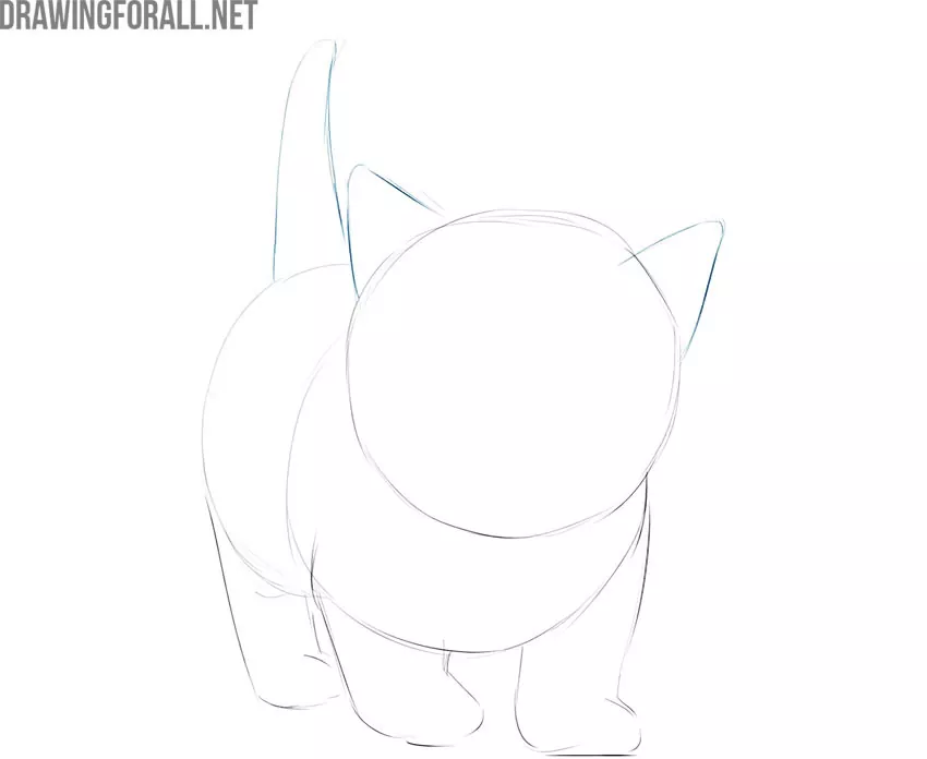 Draw the ears and tail of the kitten