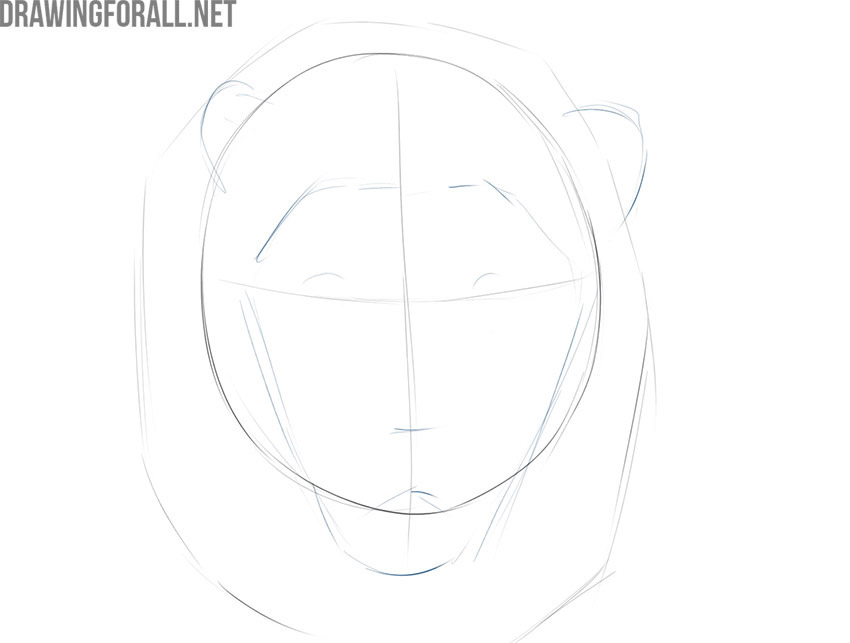 Draw the outlines of the lion face and ears