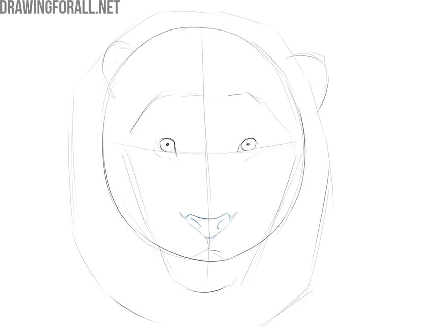 Draw the lion nose in detail