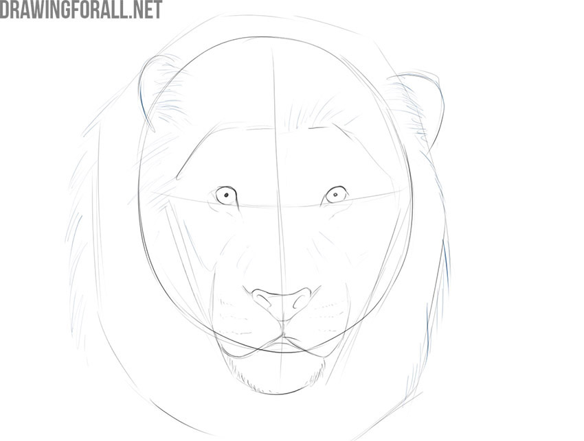 Draw the mane of the lion in detail
