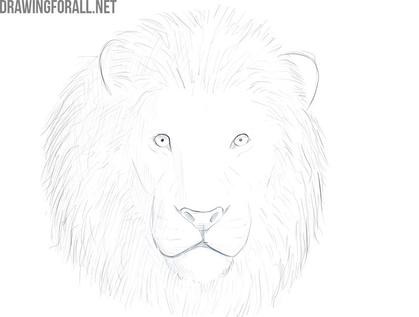 Add shading to the lion face