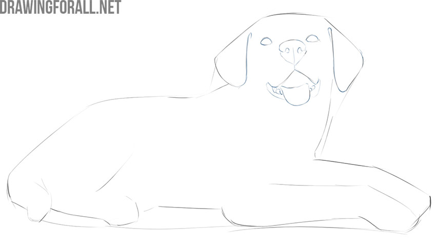 Refining the lying dog's face with nostrils, gums, and teeth.